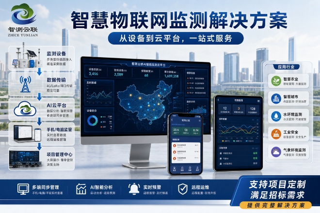 一文看懂这家物联网监测厂商的真实能力